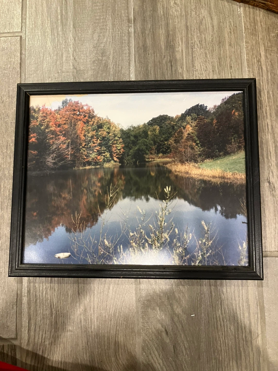 Framed picture