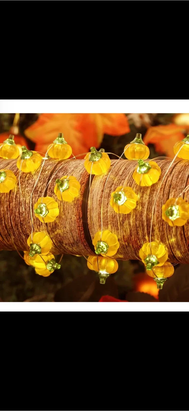Pumpkin String Lights - Halloween Decor, brand new image indicator(2)