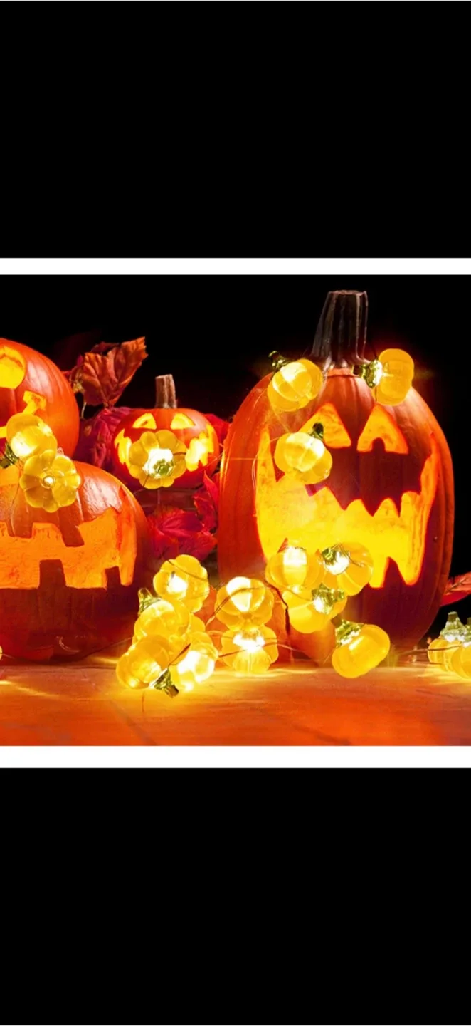 Pumpkin String Lights - Halloween Decor, brand new image indicator(3)