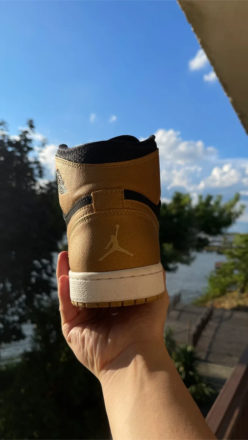Carmelo Anthony Jordan 1s image indicator(6)