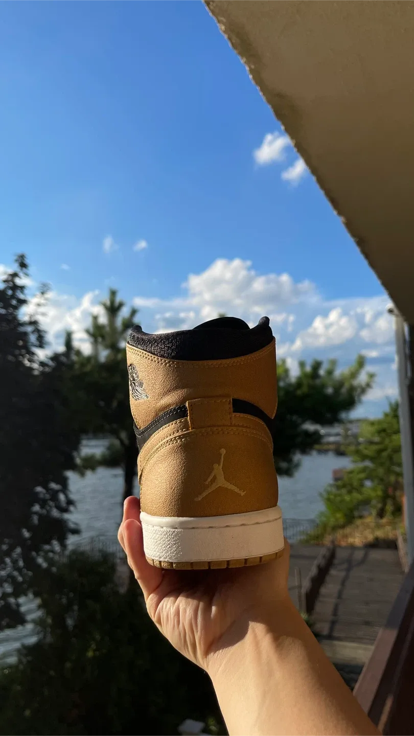 Carmelo Anthony Jordan 1s image indicator(5)