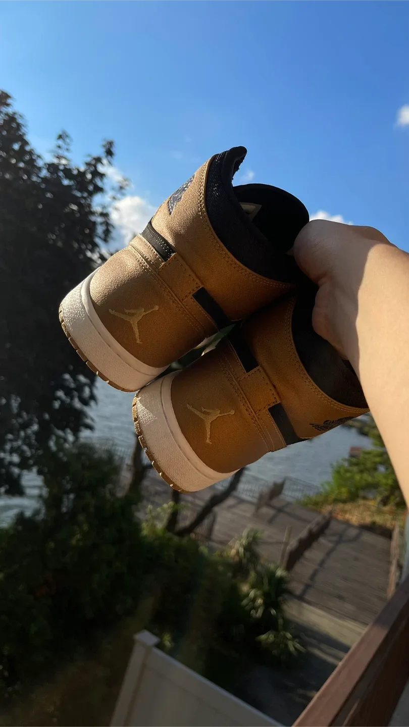 Carmelo Anthony Jordan 1s image indicator(7)