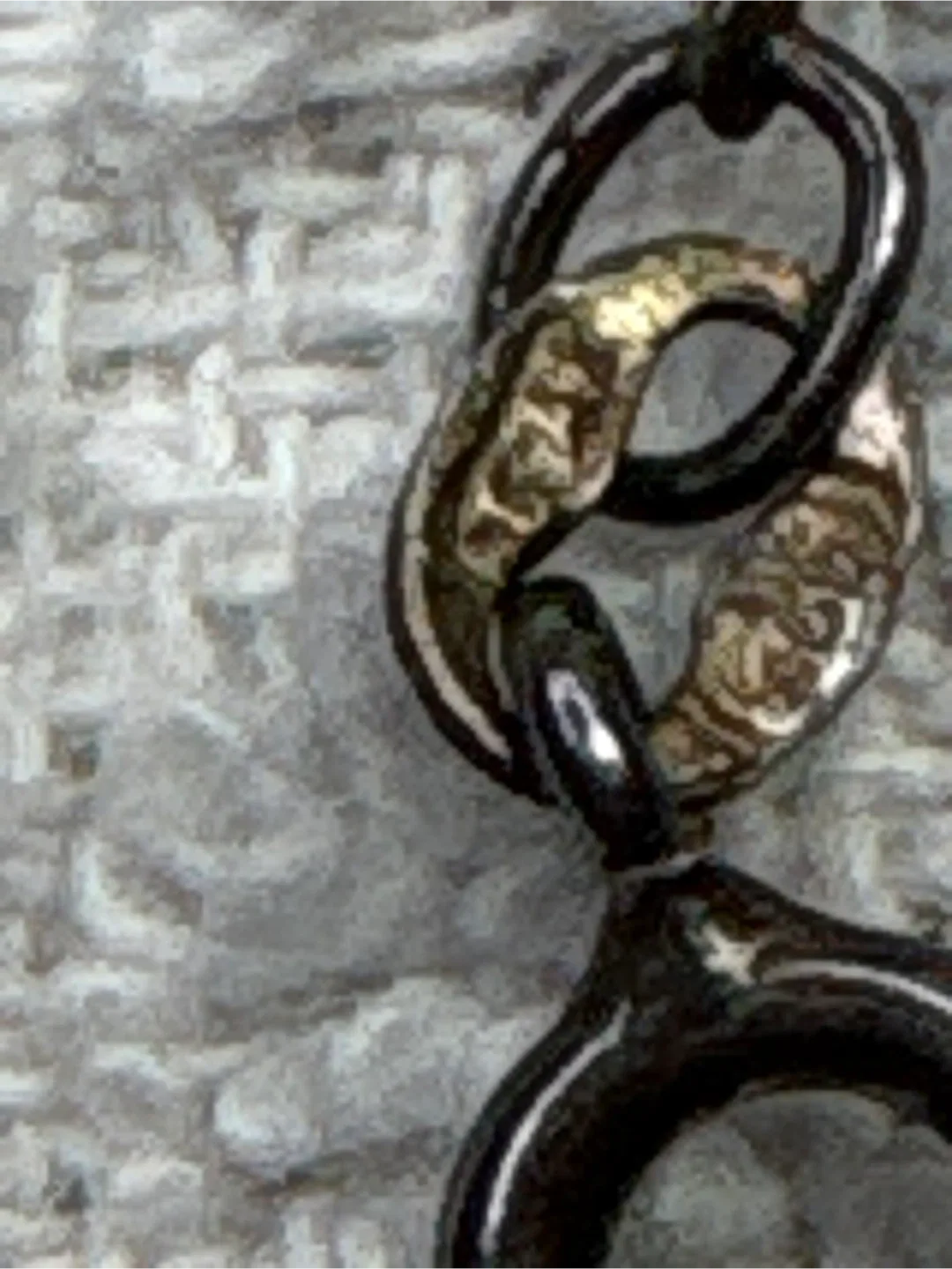 Victorian pendant Necklace with Pearl image indicator(5)