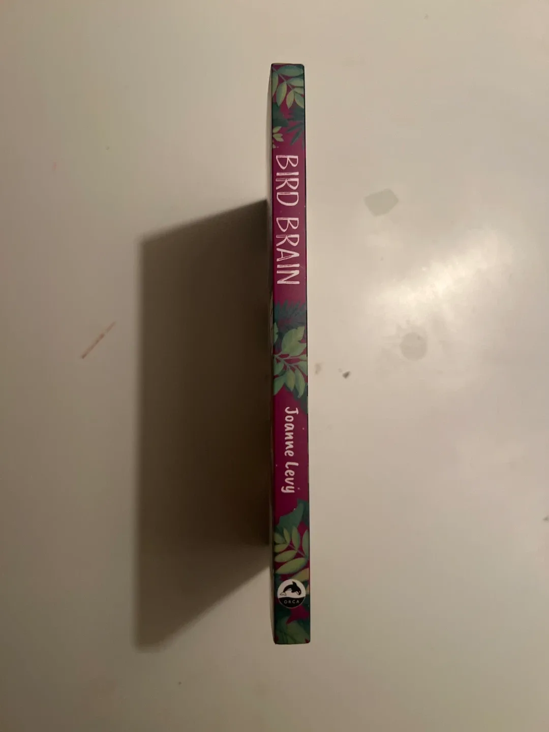 Bird Brain by Joanne Levy image indicator(2)