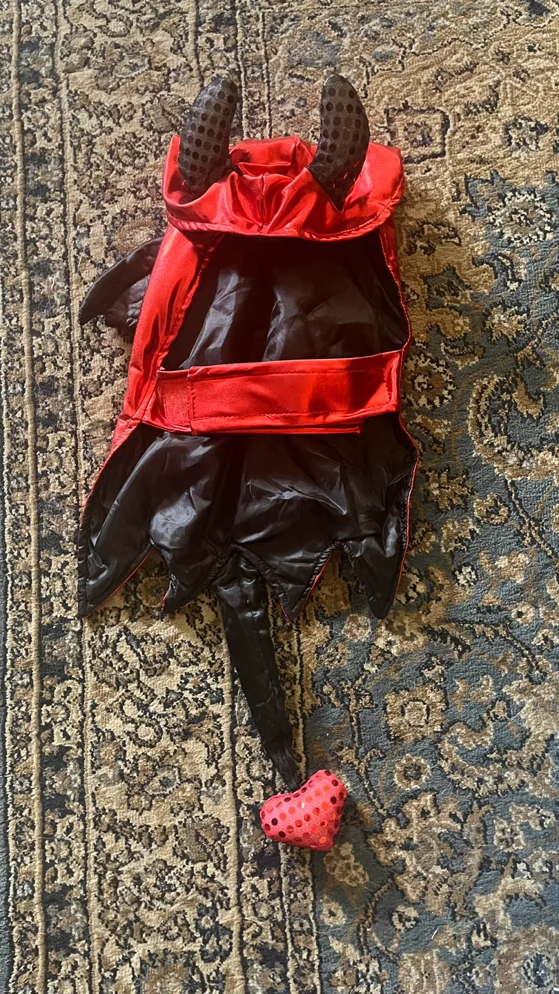 Devil Pet Costume - Small image indicator(3)