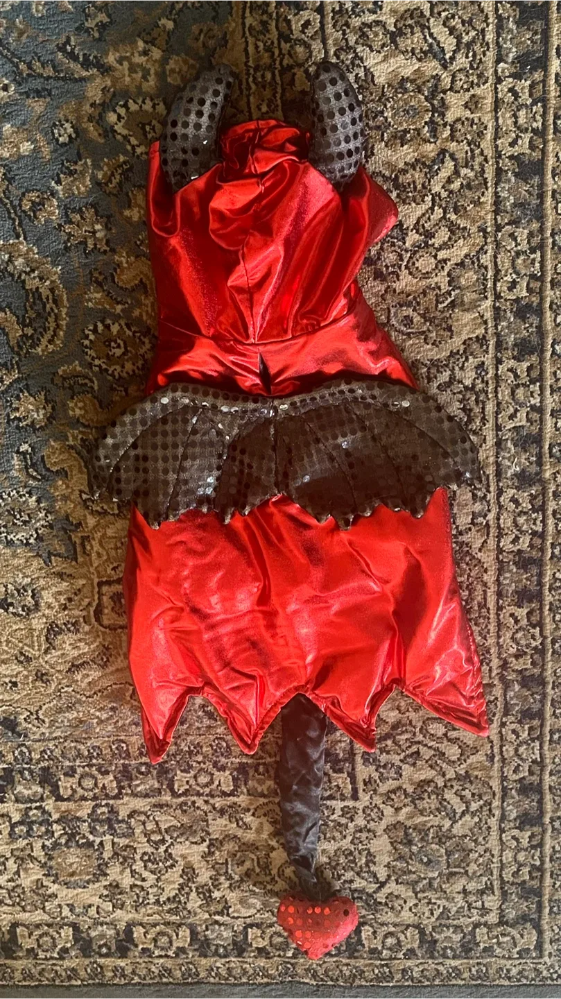 Devil Pet Costume - Small image indicator(2)