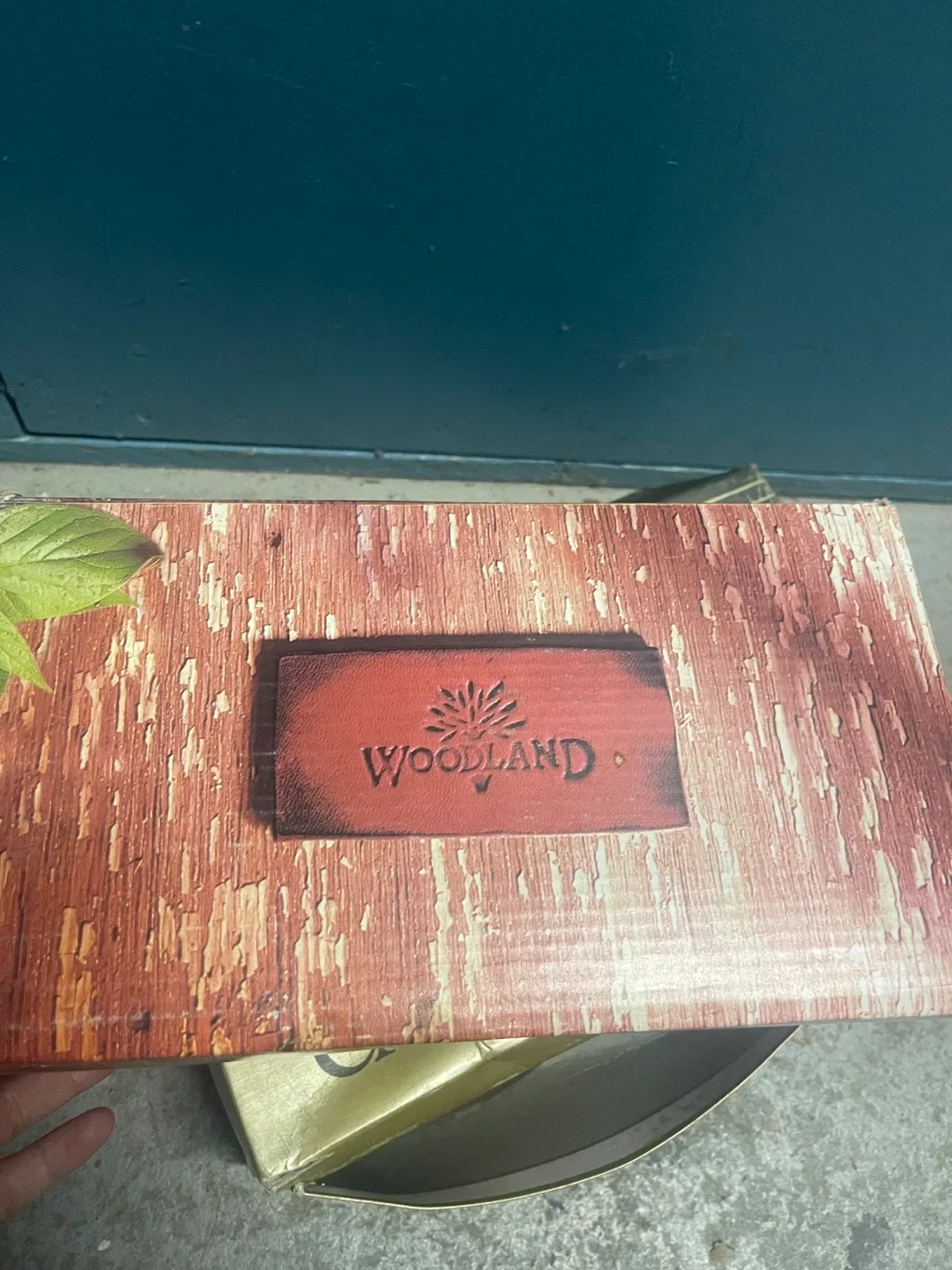 Woodland Brown Leather Shoes - Size 40 image indicator(6)