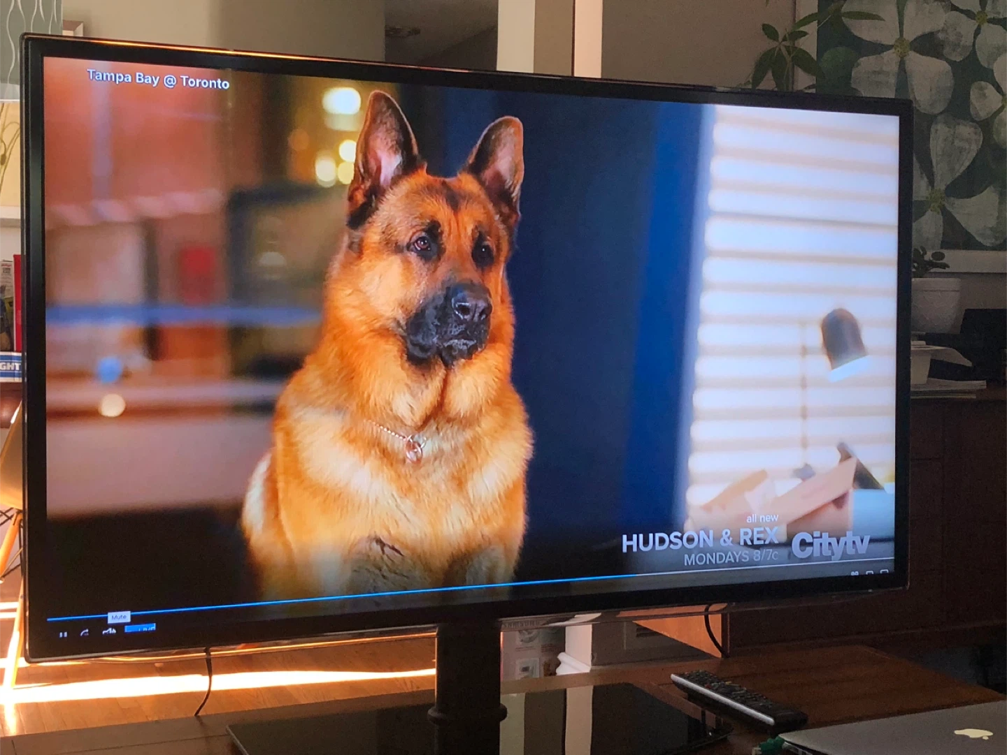 Samsung UN46ES6100 46" Smart TV - photo 4
