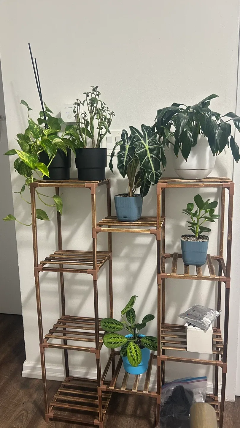 Bamworld Plant Stand Indoor/Outdoor