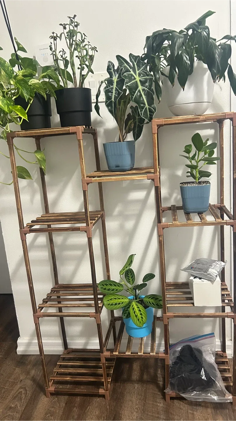 Bamworld Plant Stand Indoor/Outdoor image indicator(3)