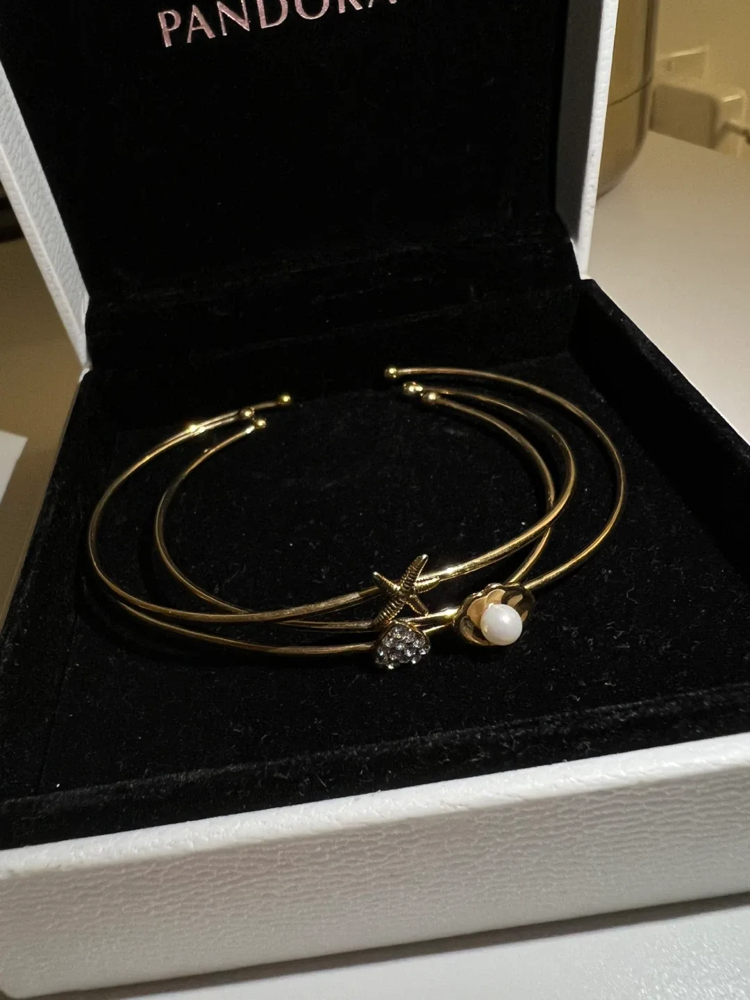 (Retail $119)Bangle Set with Charms image indicator(2)