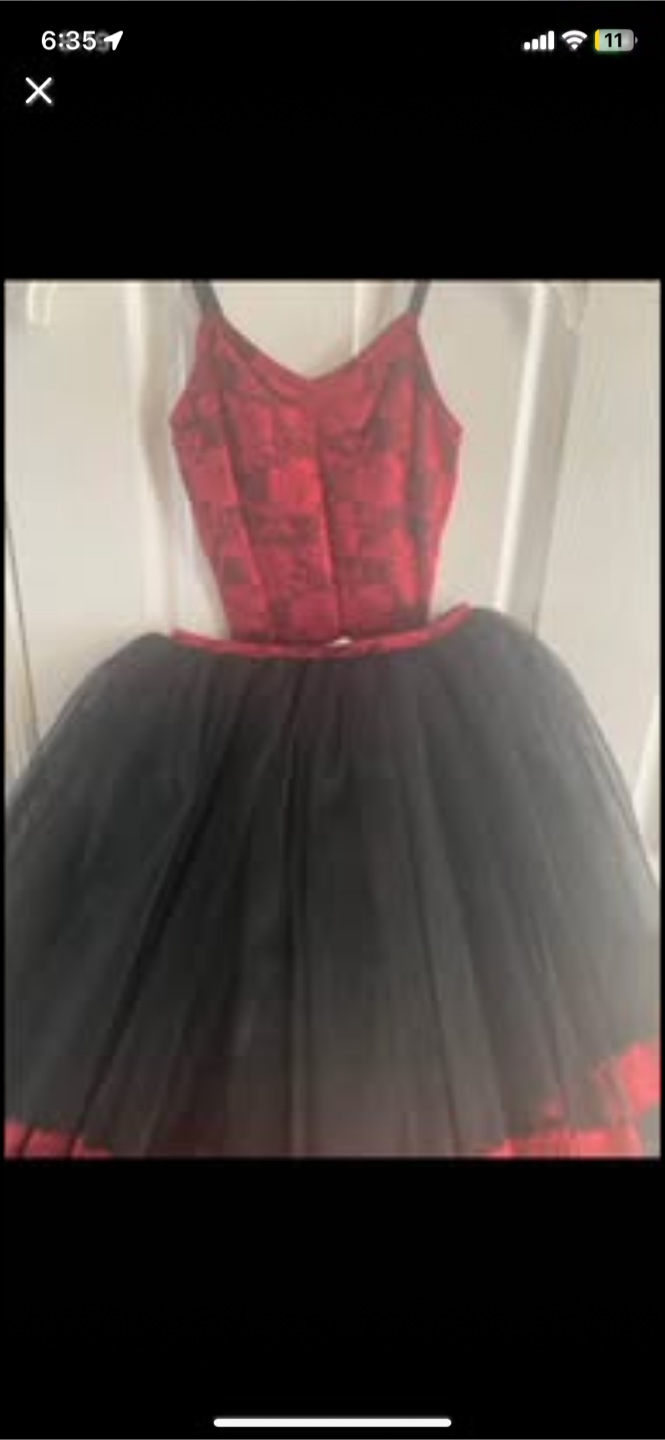 Ballerina Dance Costume Halloween - Leotard & Tutu