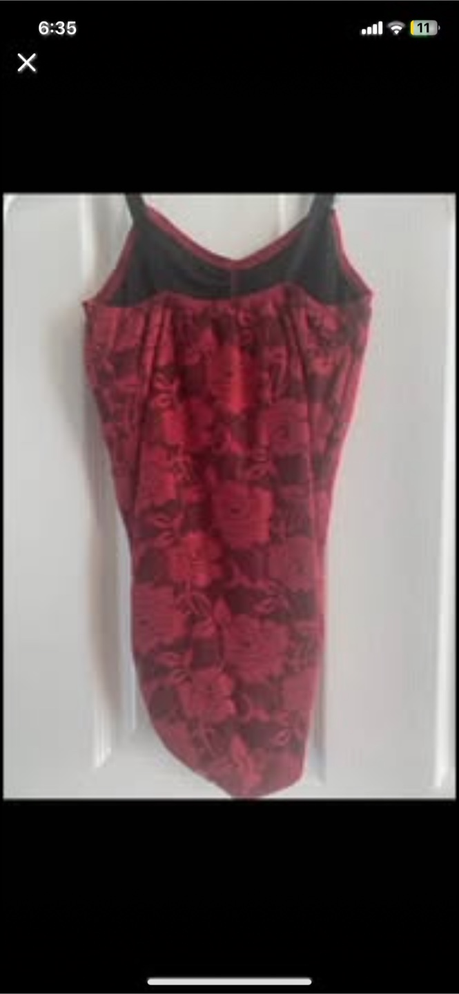 Ballerina Dance Costume Halloween - Leotard & Tutu - photo 5