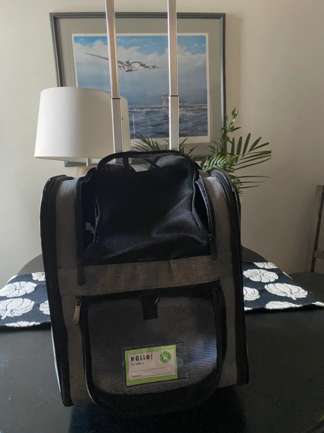 Grey Pet Carrier with Wheels