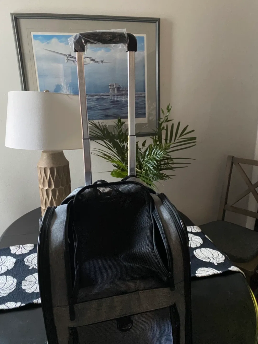 Grey Pet Carrier with Wheels image indicator(4)