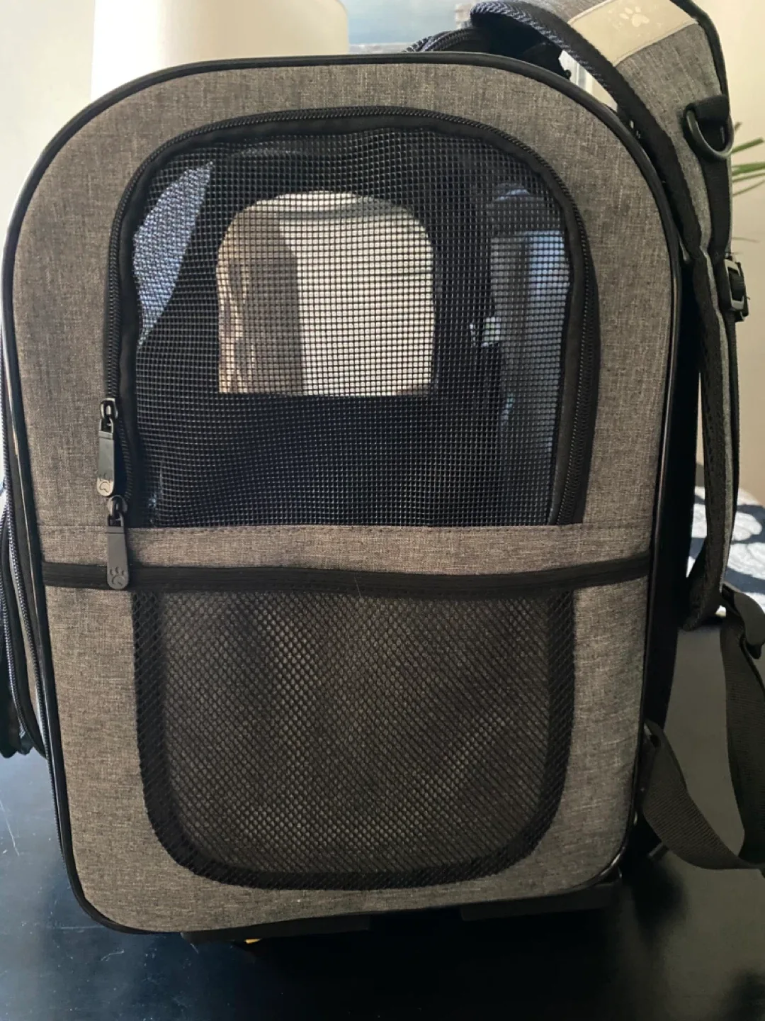 Grey Pet Carrier with Wheels image indicator(7)