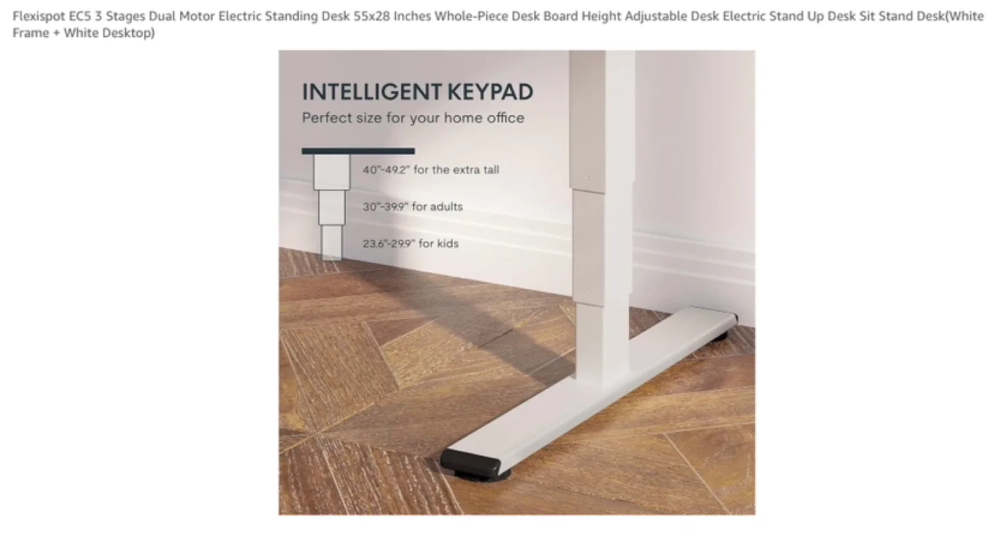 Unboxing Flexispot EC5 Electric Standing Desk, White Frame image indicator(4)