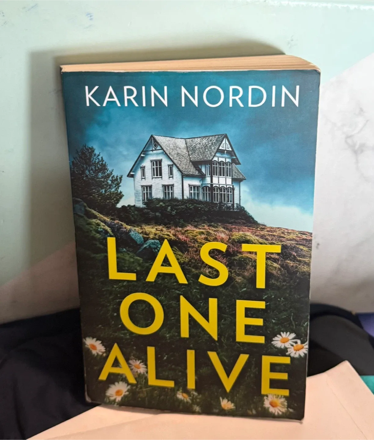 Last One Alive by Karin Nordin Book thumbnail