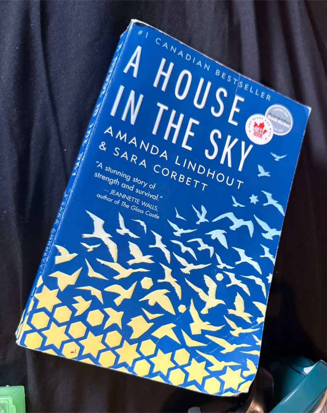 A House in the Sky by Amanda Lindhout Book thumbnail