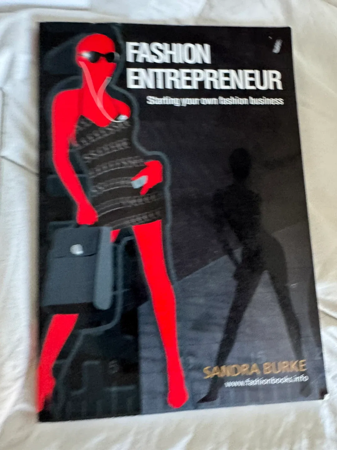 Fashion Textbook Lot!! Everything for $100 image indicator(6)