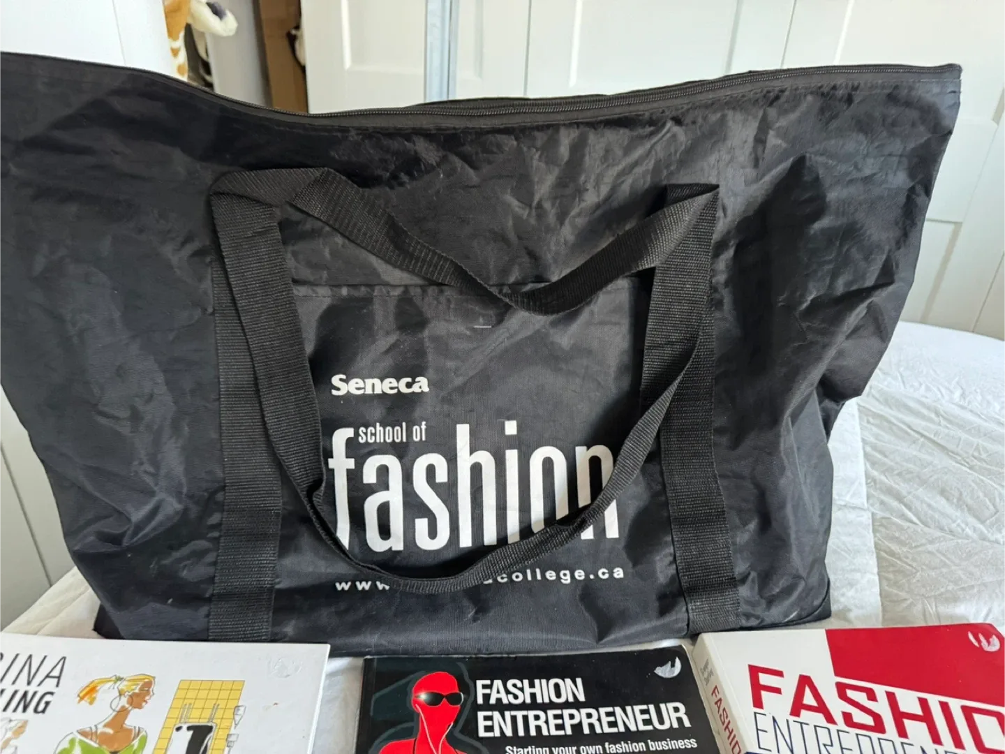 Fashion Textbook Lot!! Everything for $100 image indicator(9)