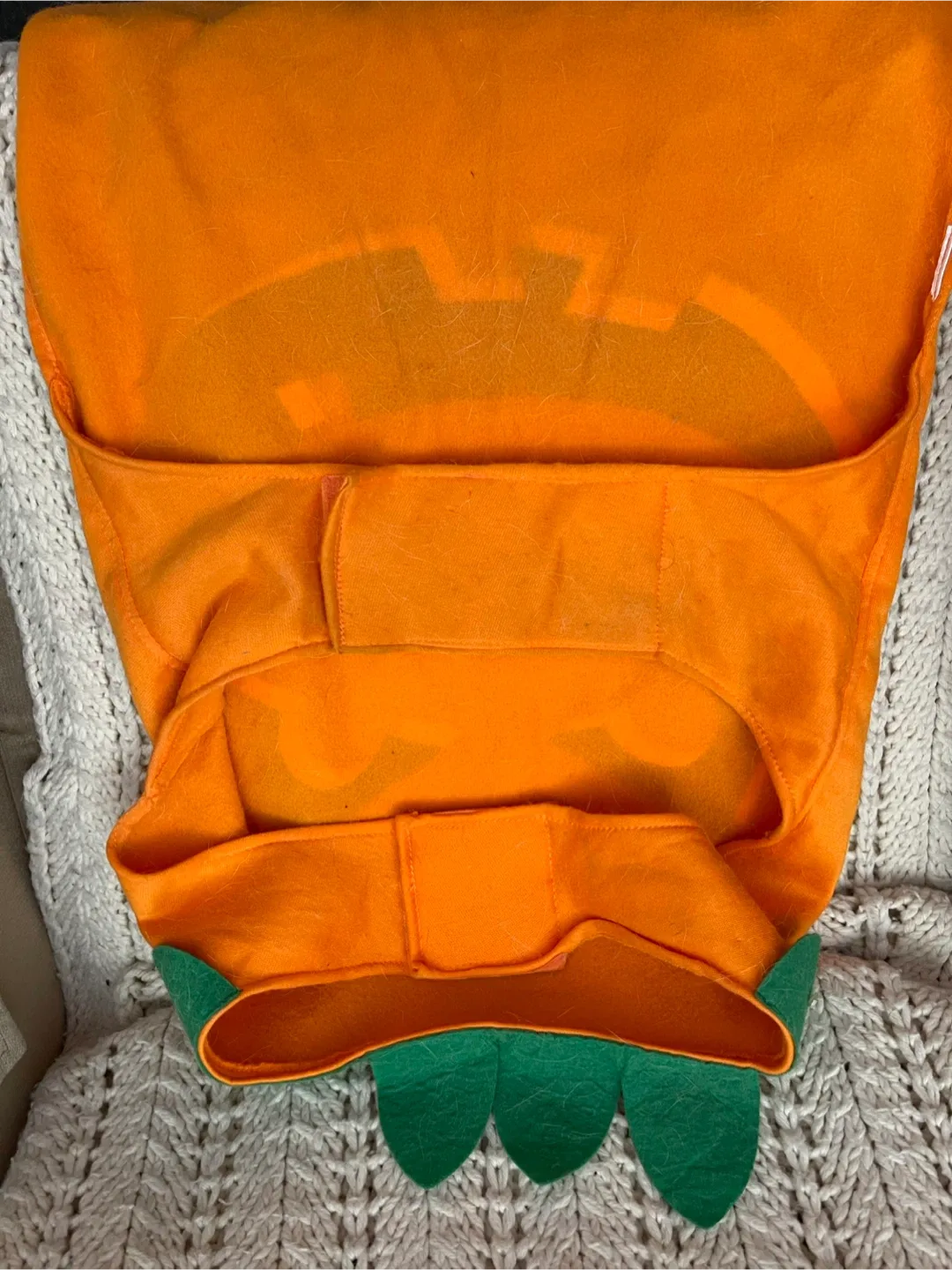 Pumpkin Halloween Dog Costume 🧡 image indicator(2)