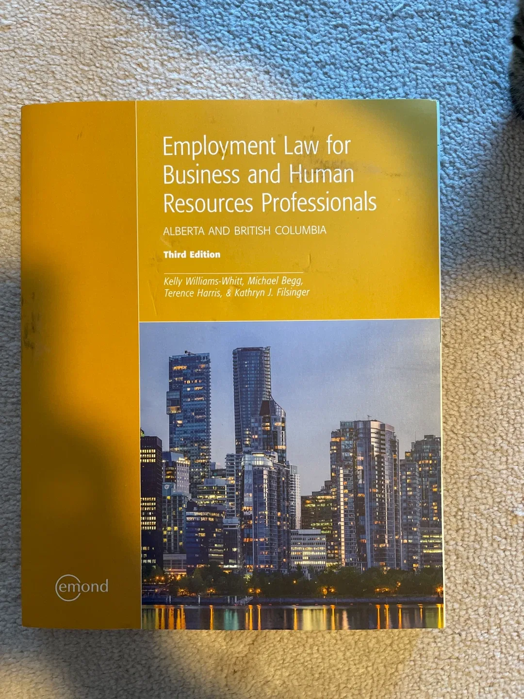 Employment Law for Business & Human Resources Professionals thumbnail