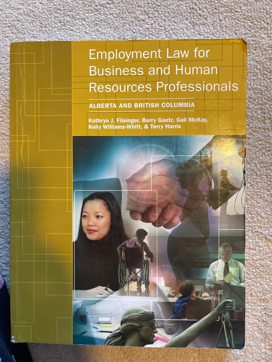 Employment Law for Business and Human Resources Professionals thumbnail