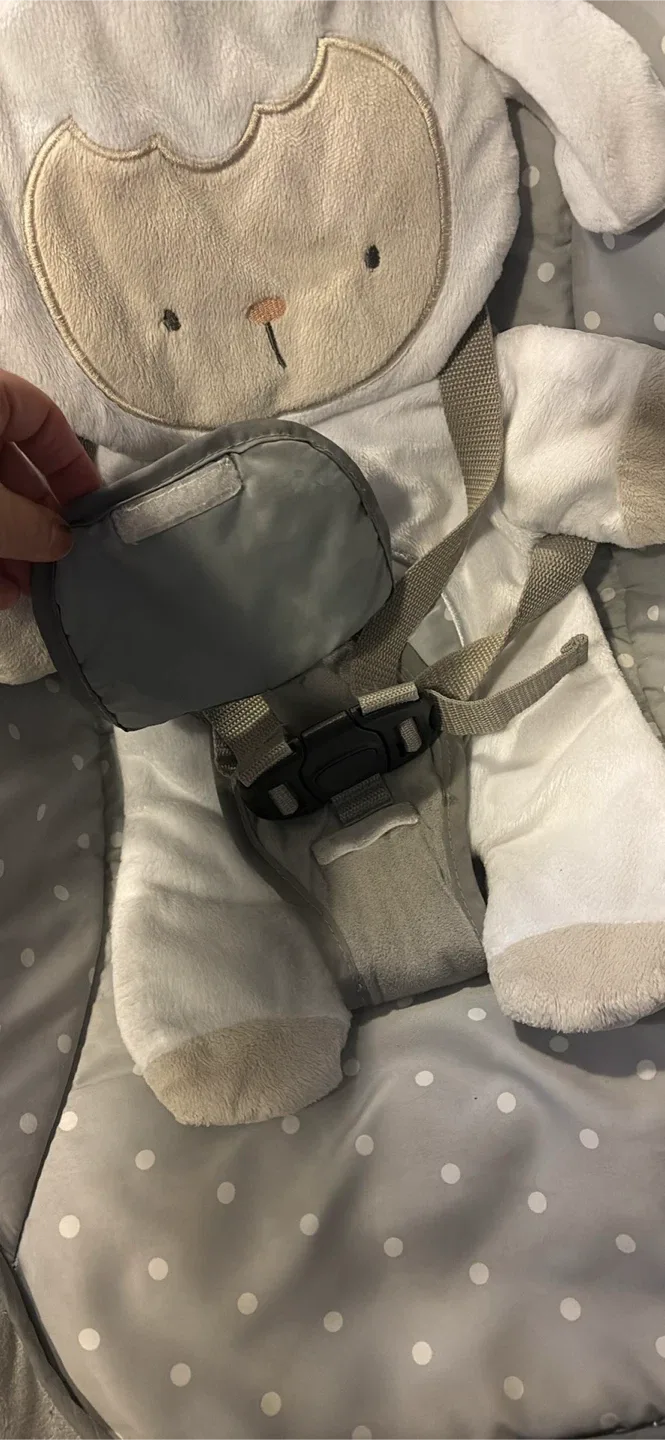 🥕Ingenuity Baby Bouncer - Like New! image indicator(5)