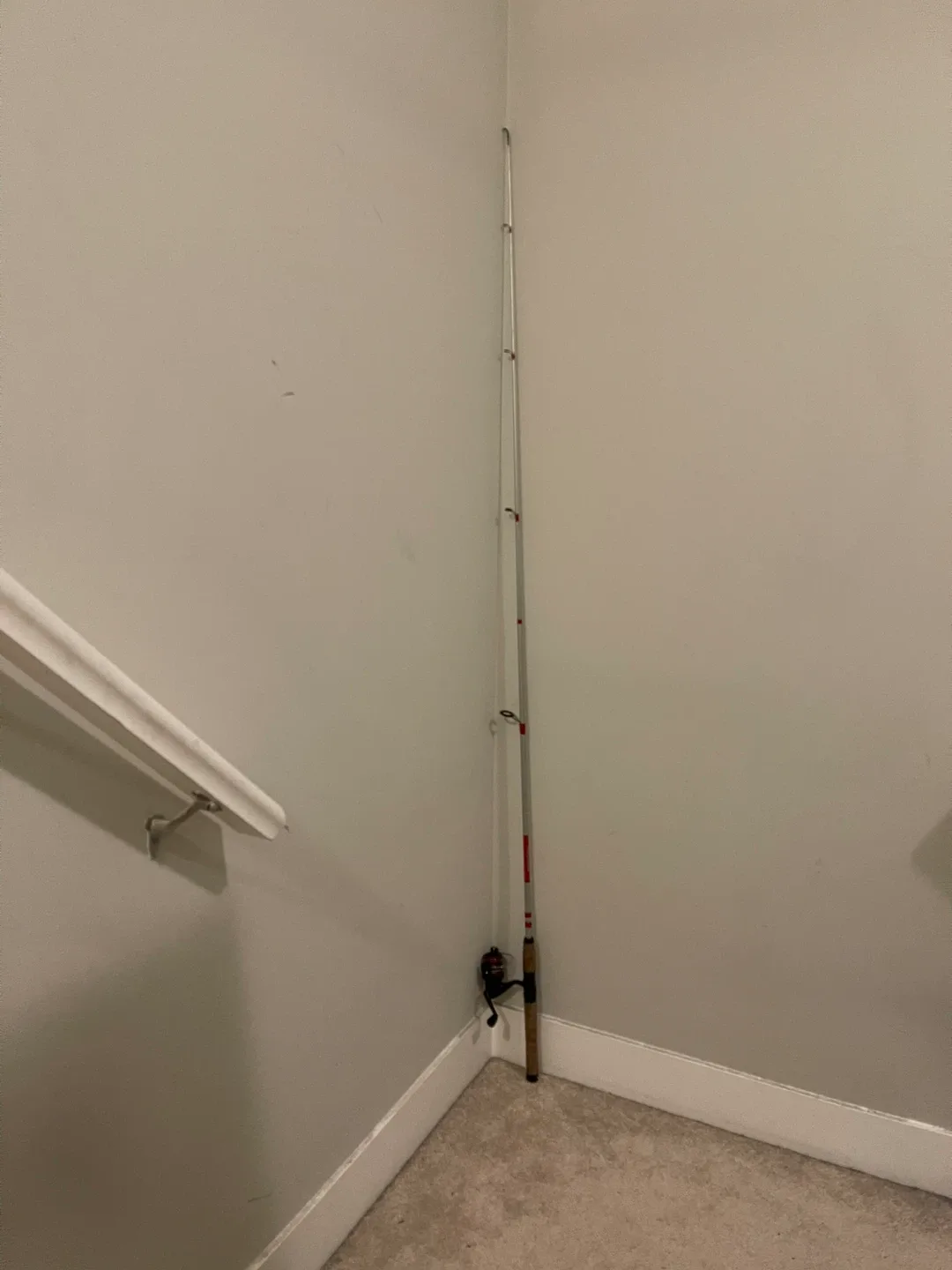 Fishing Rod + Reel Combo image indicator(3)