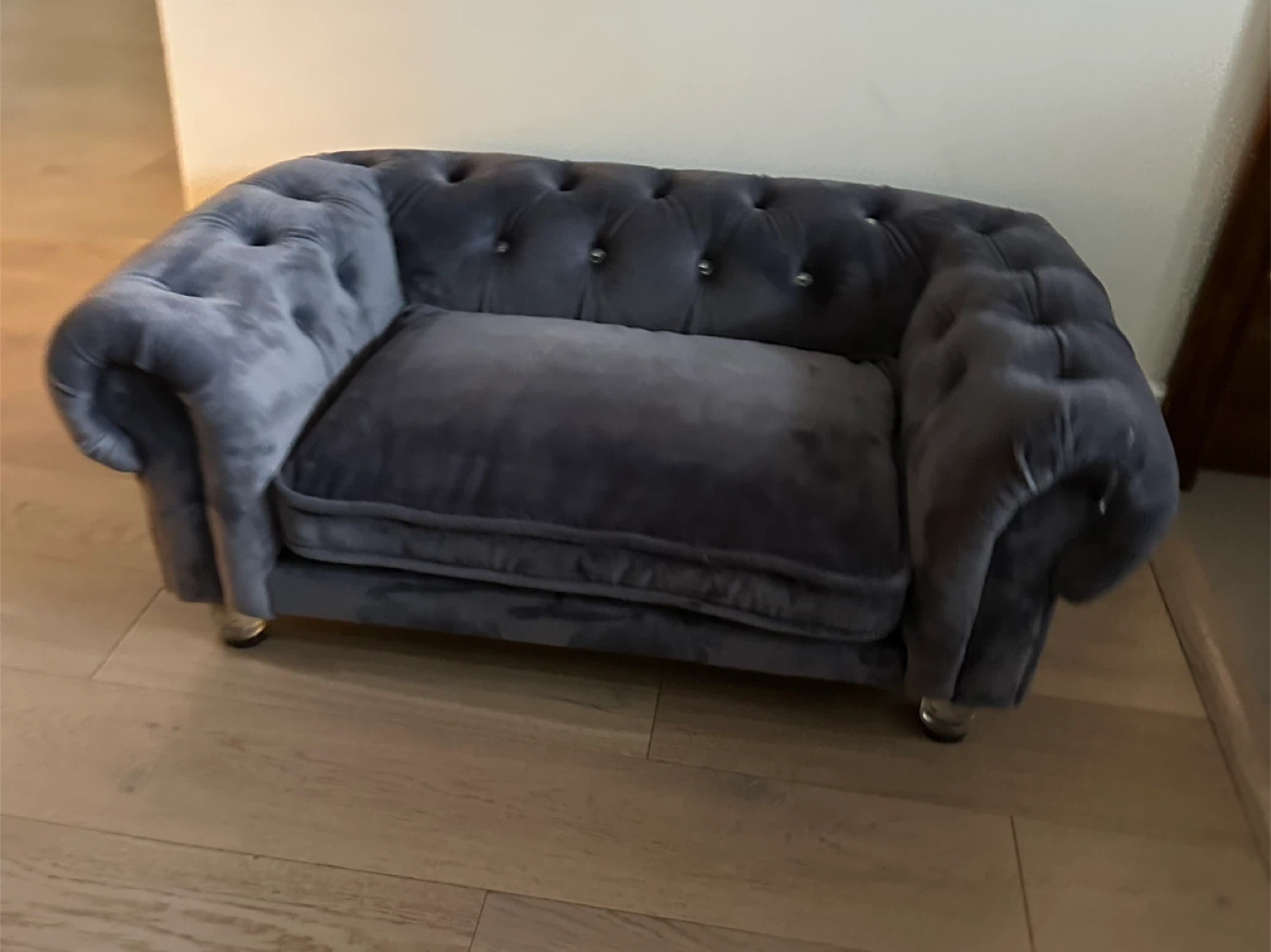 Grey Velvet Chesterfield Style Pet Sofa - photo 3