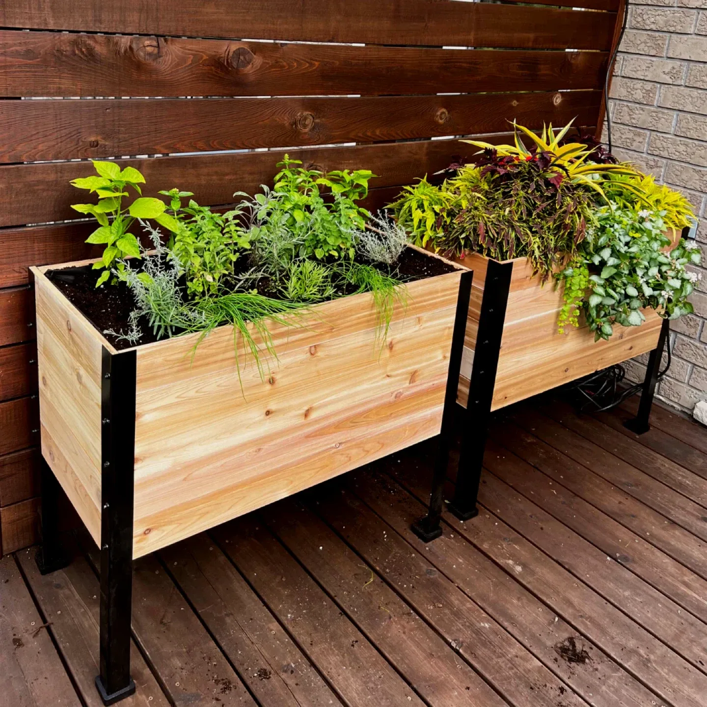 🧡 Wooden Raised Garden Bed Planter thumbnail
