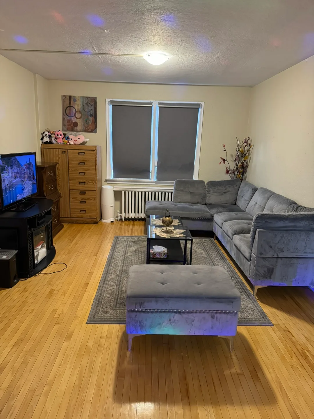 ACCOMODATION available for Girls only image indicator(3)