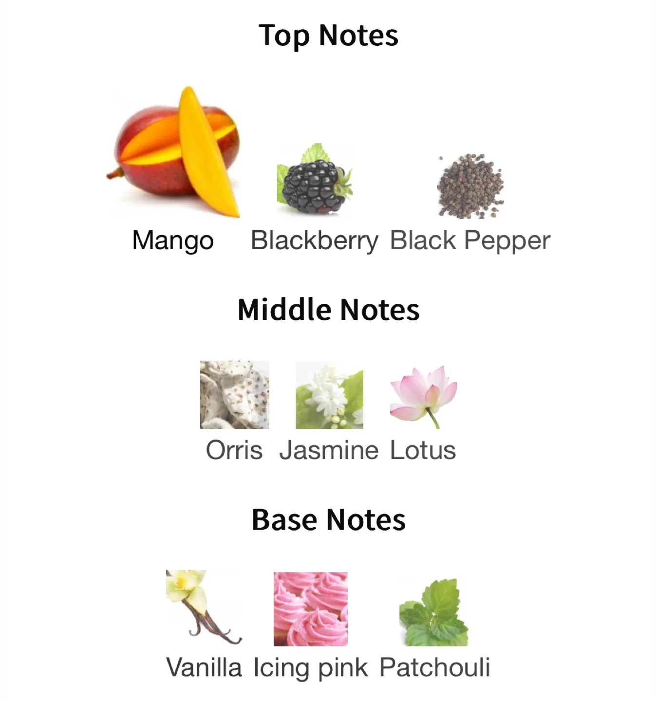 Vilhelm Parfumerie Mango Skin - 20/50ml image indicator(4)