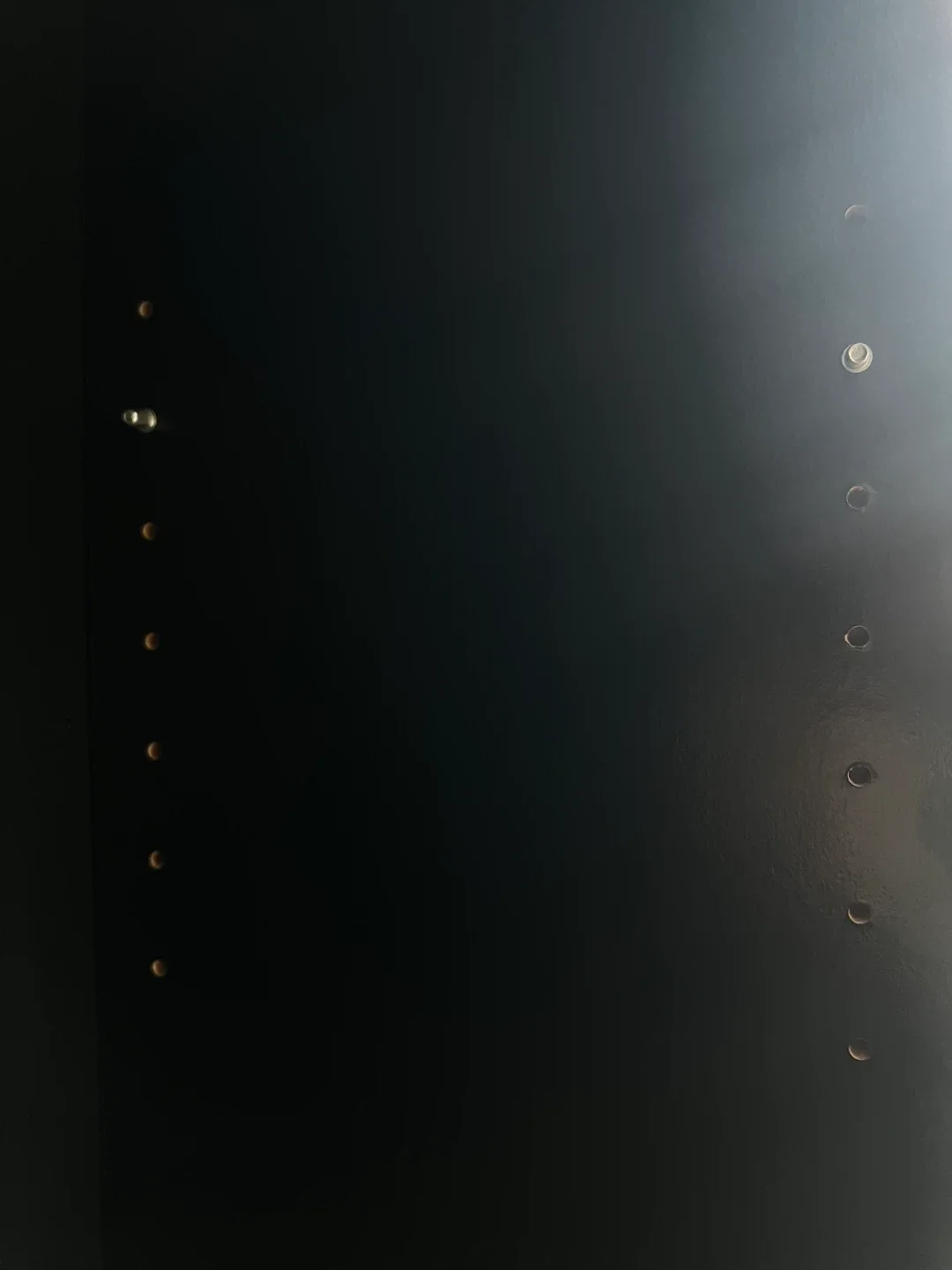 Black Bookshelf with Adjustable Shelves - MOVING OUT SALE ✈️ image indicator(4)