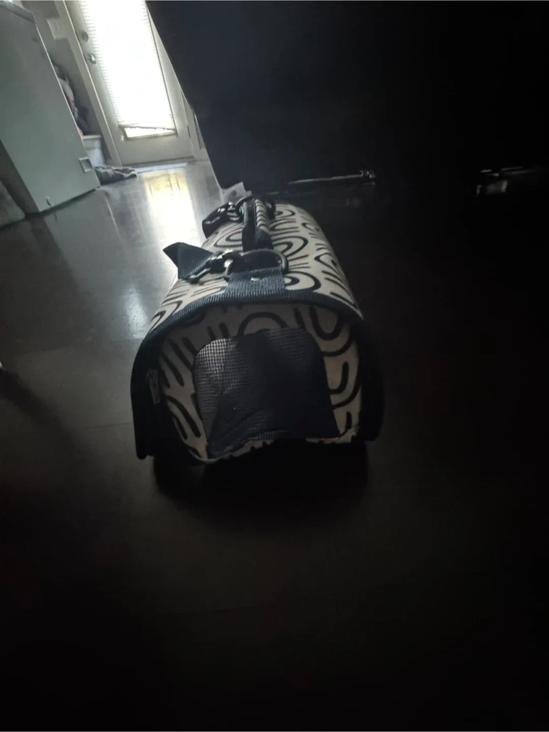 Pet Carrier - Blue & White Pattern image indicator(4)