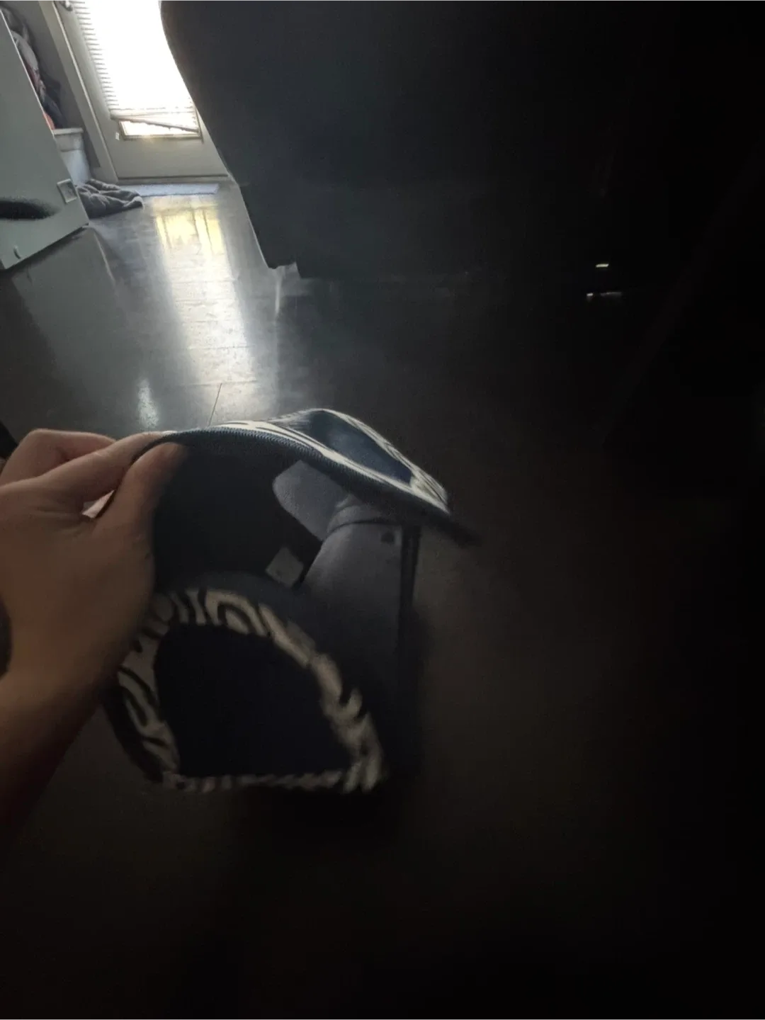 Pet Carrier - Blue & White Pattern image indicator(5)