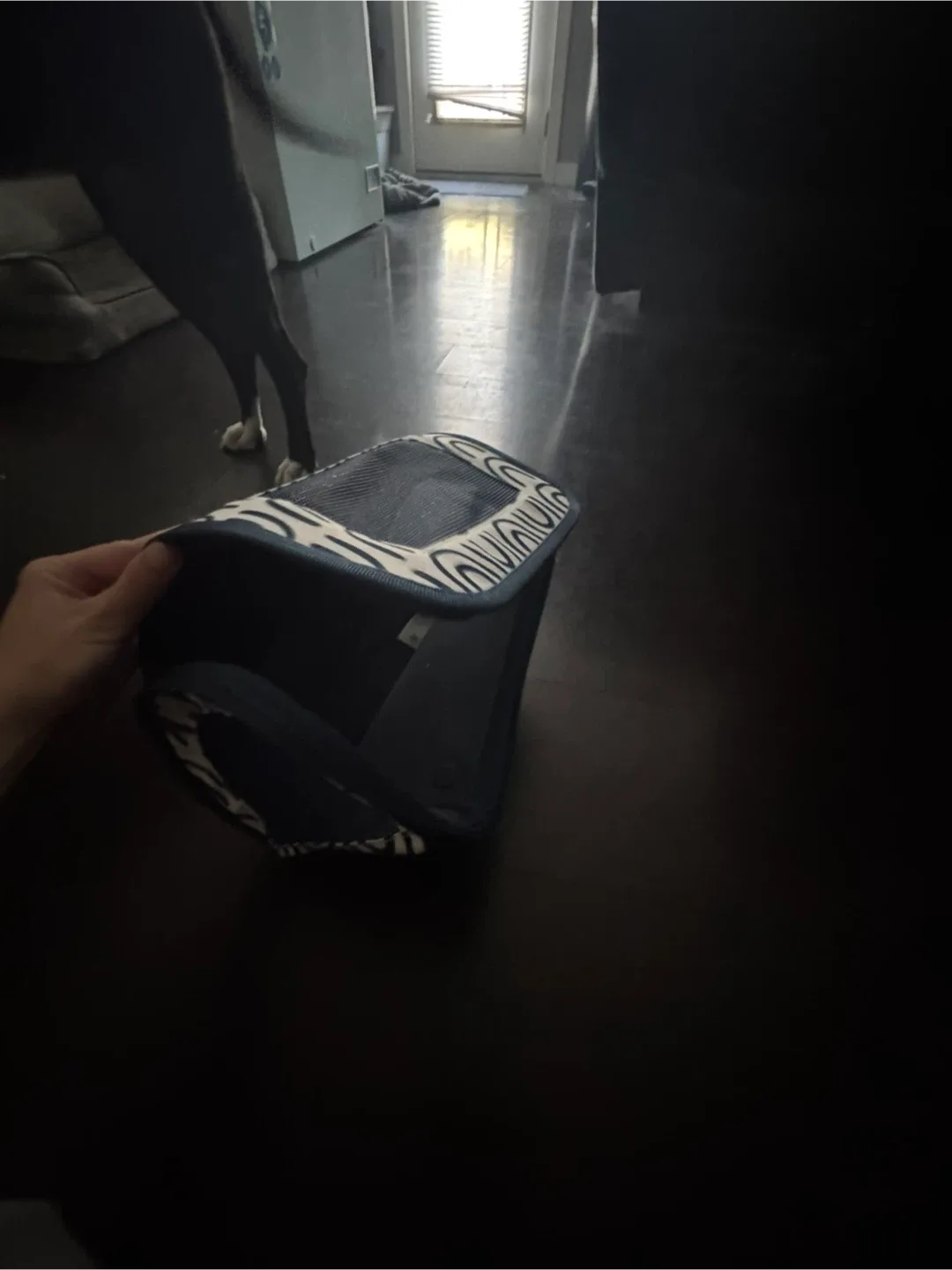 Pet Carrier - Blue & White Pattern image indicator(2)