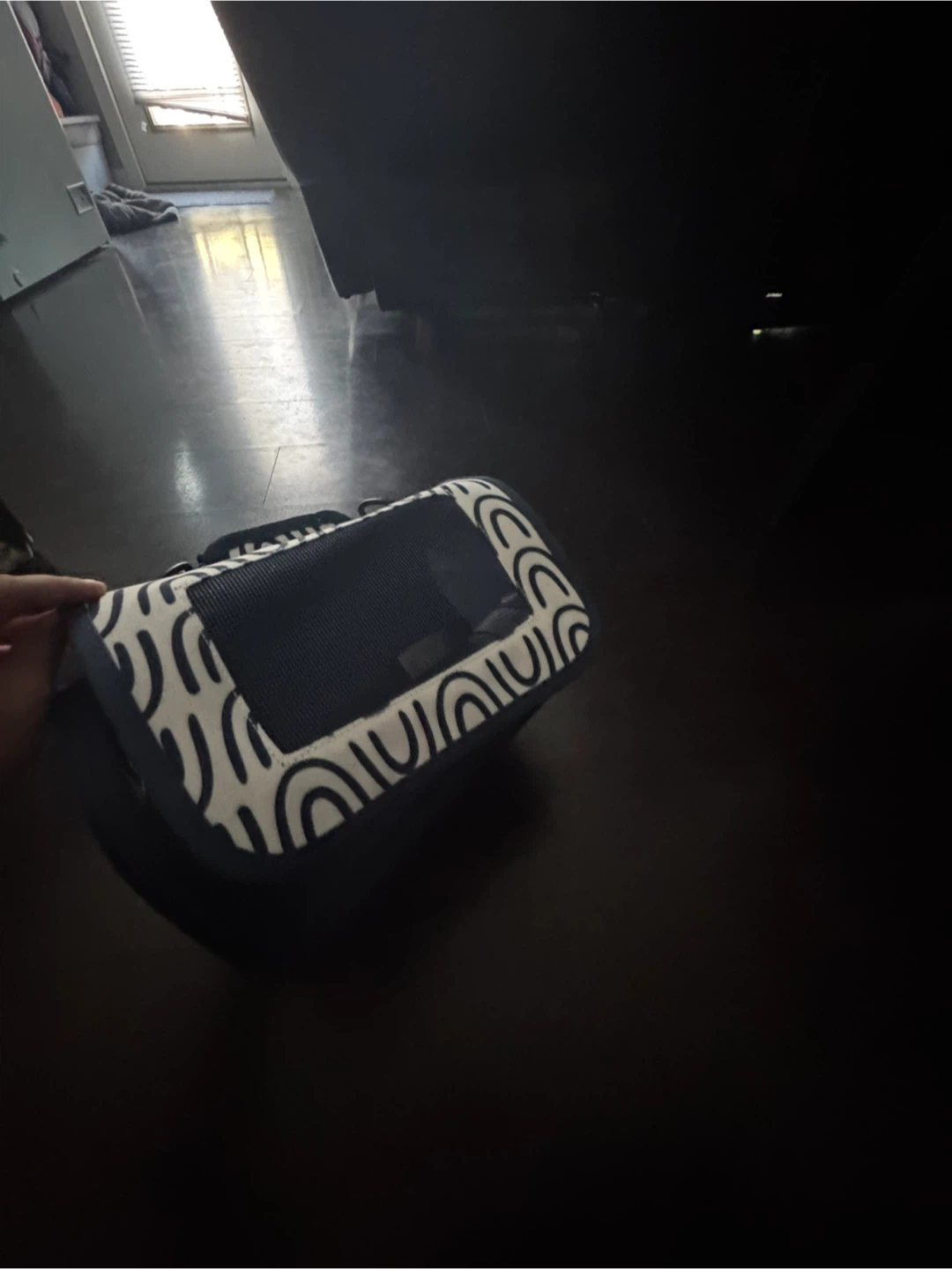 Pet Carrier - Blue & White Pattern - photo 3