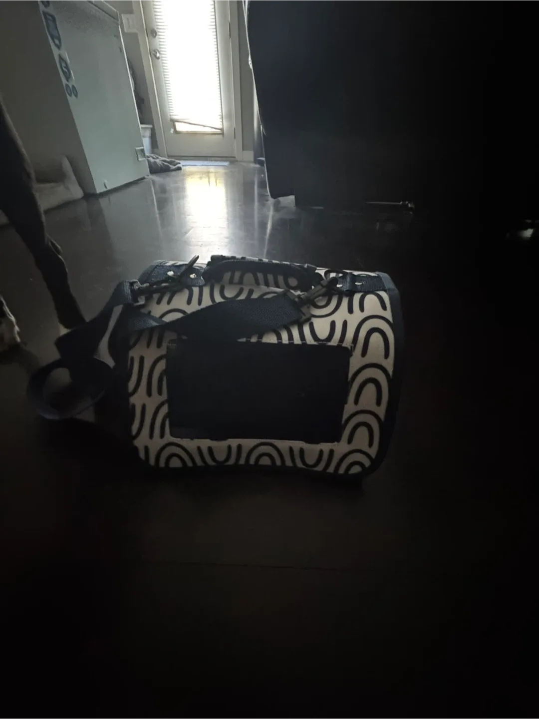 Pet Carrier - Blue & White Pattern image indicator(6)