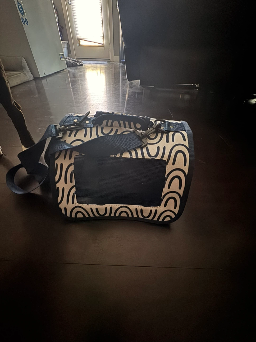 Pet Carrier - Blue & White Pattern