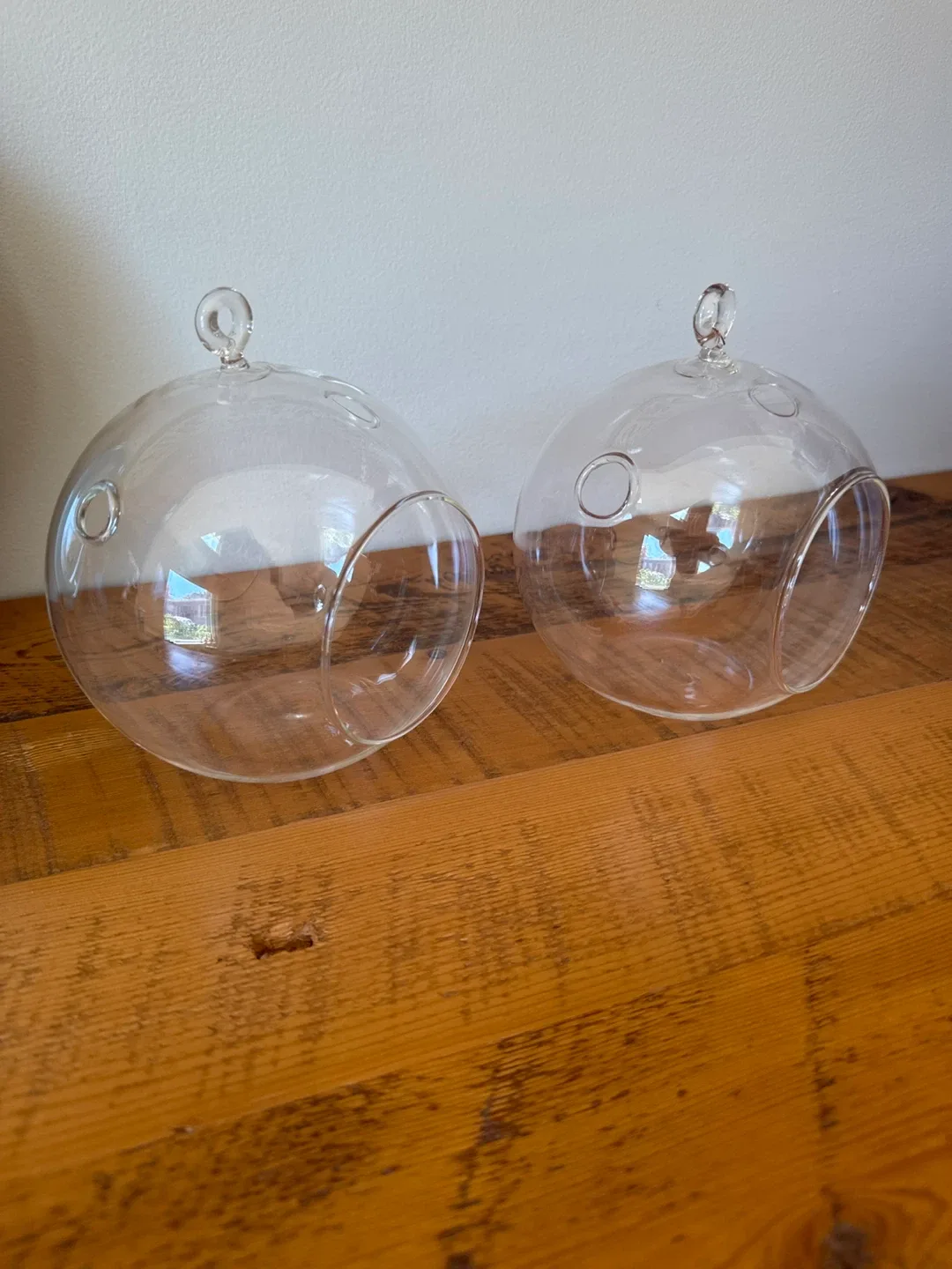 Glass Hanging Terrarium Globes (Set of 2) image indicator(2)
