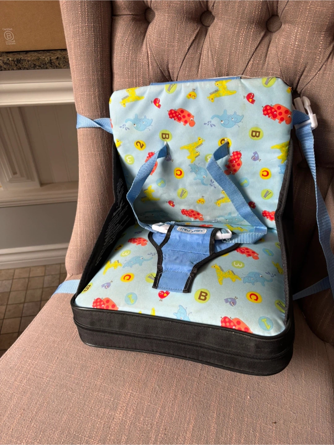 The First Years Sit & Go Booster Seat