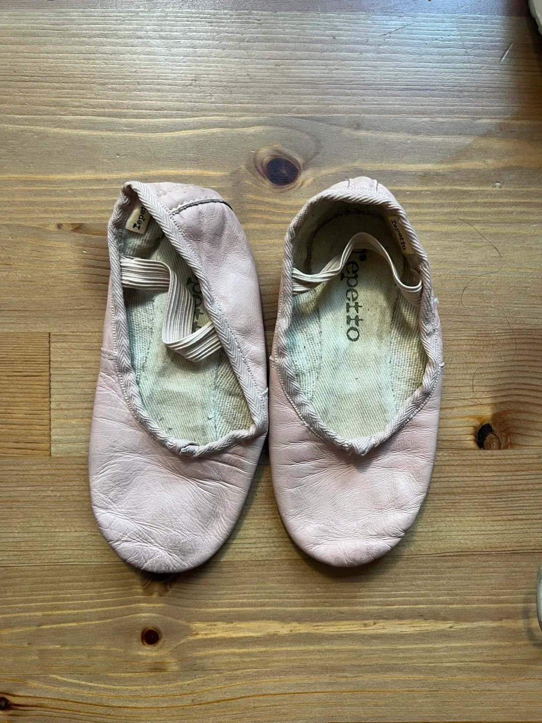 Repetto Ballet Shoes & Leotard image indicator(4)