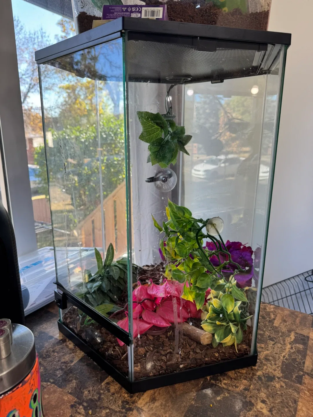 Glass Terrariums image indicator(2)