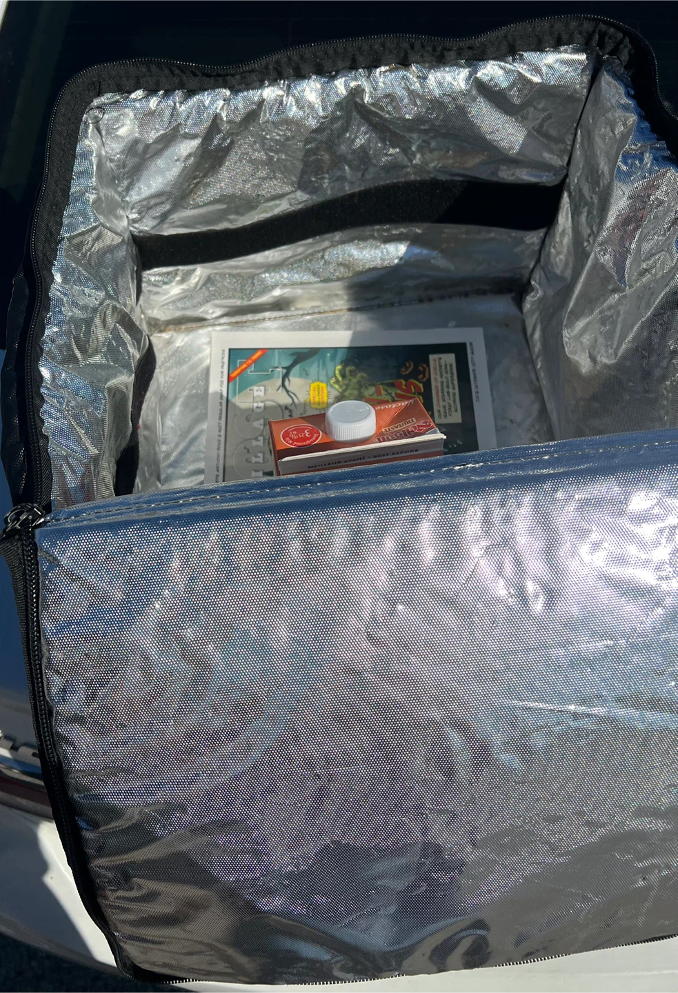 Skip The Dishes Insulated Delivery Bag - photo 5