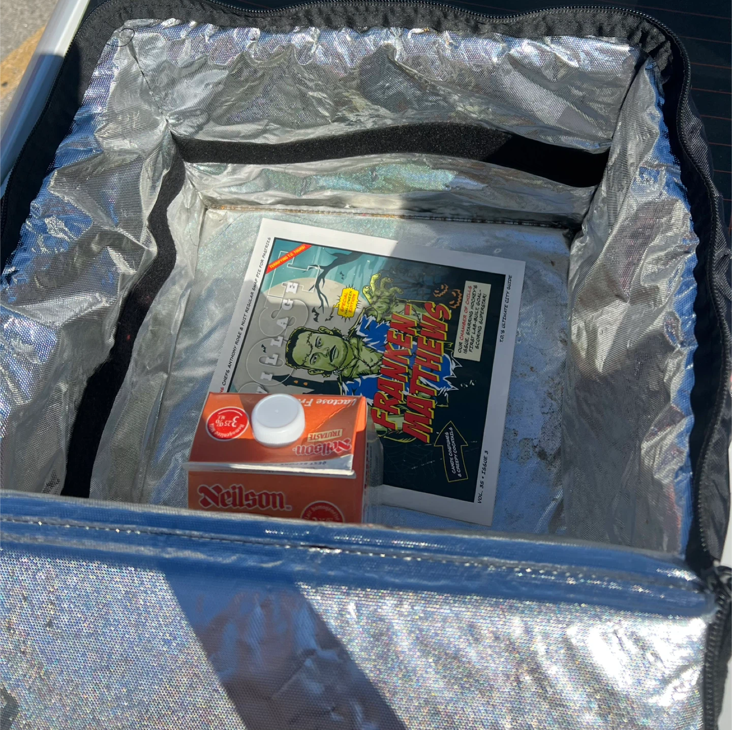 Skip The Dishes Insulated Delivery Bag - photo 4