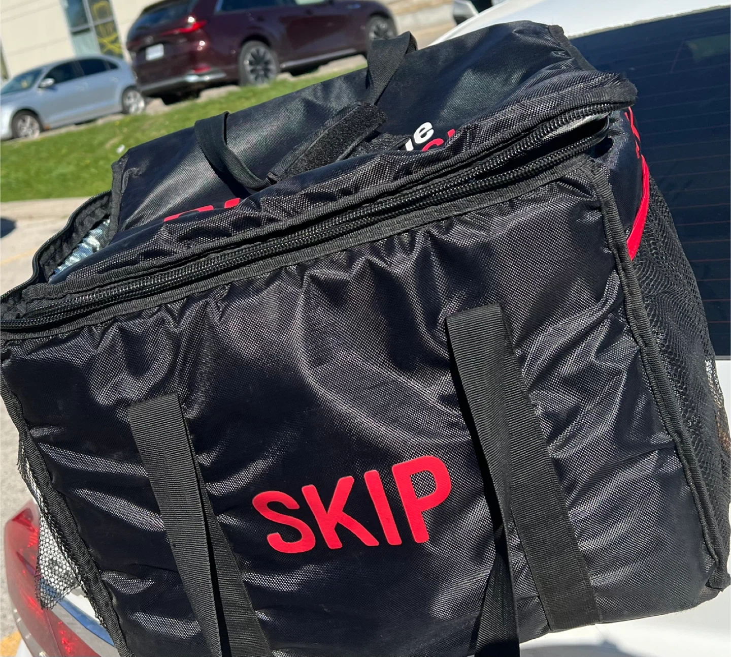 Skip The Dishes Insulated Delivery Bag