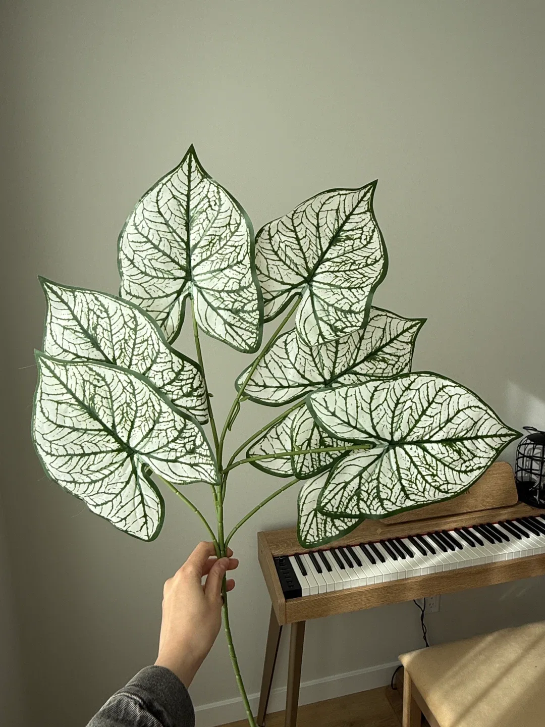 Artificial Caladium Plant