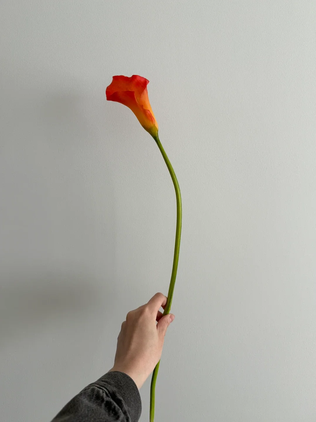 Artificial Calla Lily Flowers - Red & Dark Purple image indicator(2)